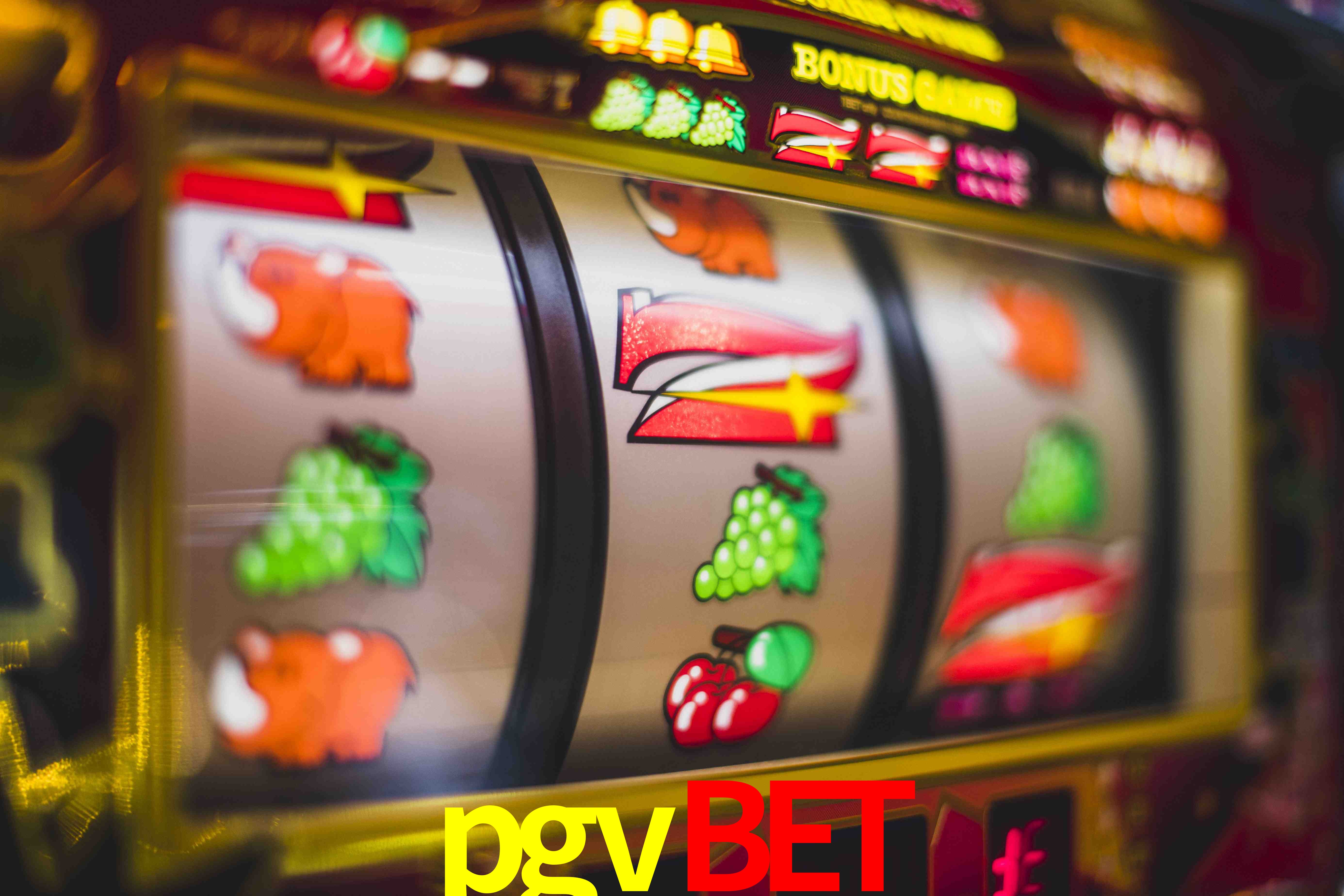 Statistics pgvbet